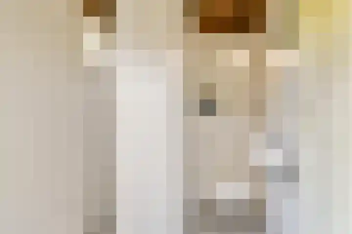 Plantsoen 24 Lage Zwaluwe thumbnail 14