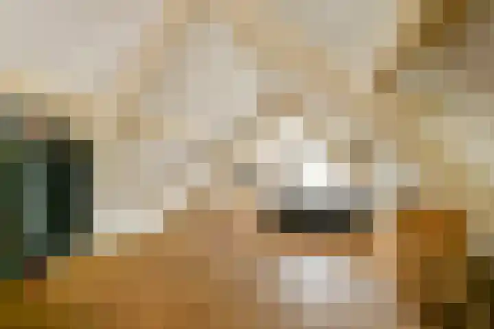 Plantsoen 24 Lage Zwaluwe thumbnail 16
