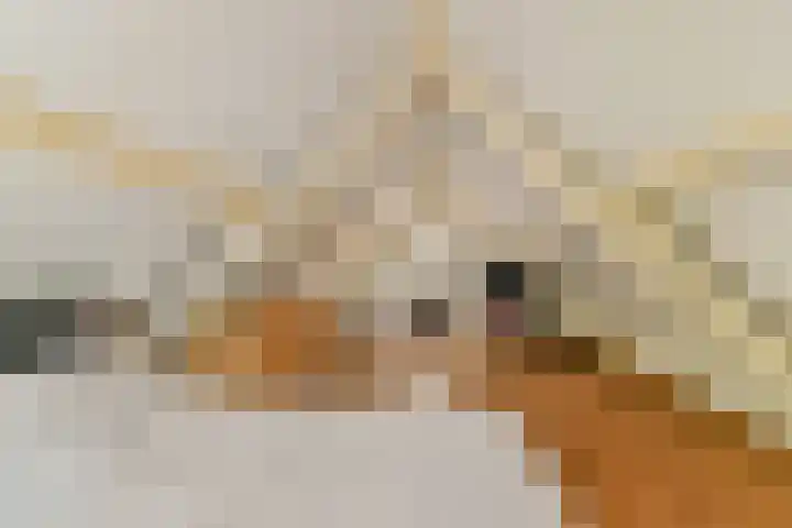 Plantsoen 24 Lage Zwaluwe thumbnail 17