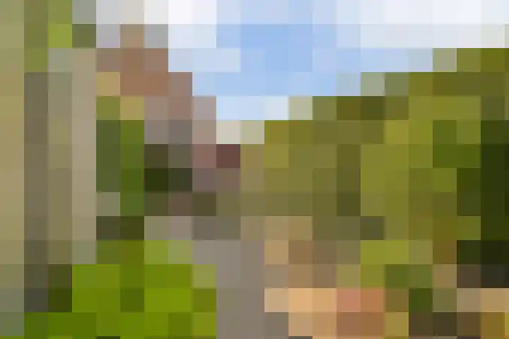 Plantsoen 24 Lage Zwaluwe thumbnail 18