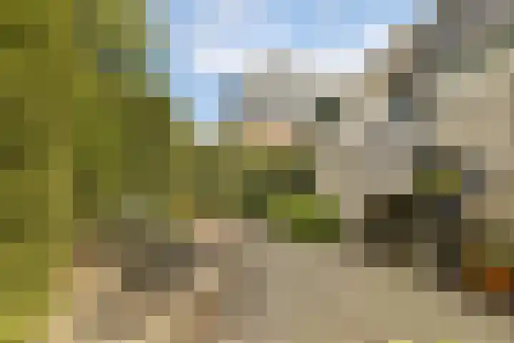Plantsoen 24 Lage Zwaluwe thumbnail 19