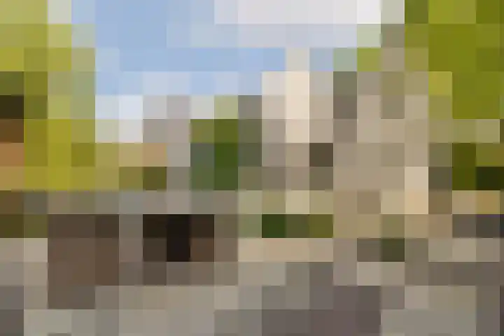 Plantsoen 24 Lage Zwaluwe thumbnail 20