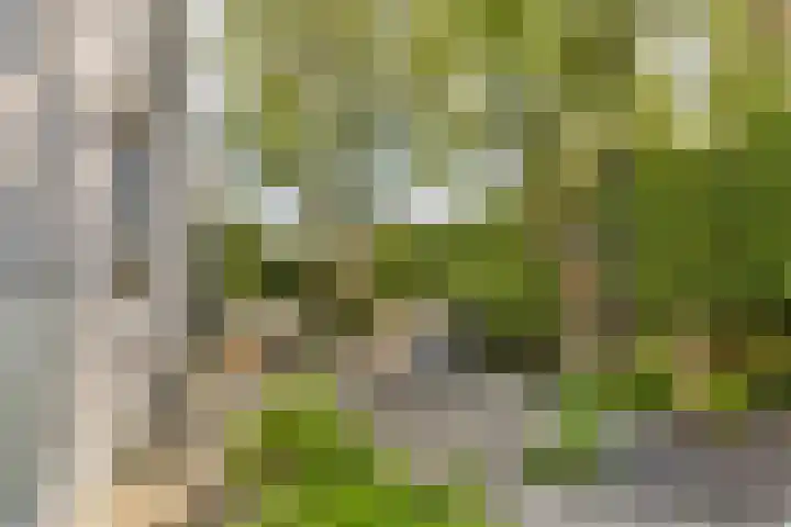 Plantsoen 24 Lage Zwaluwe thumbnail 21