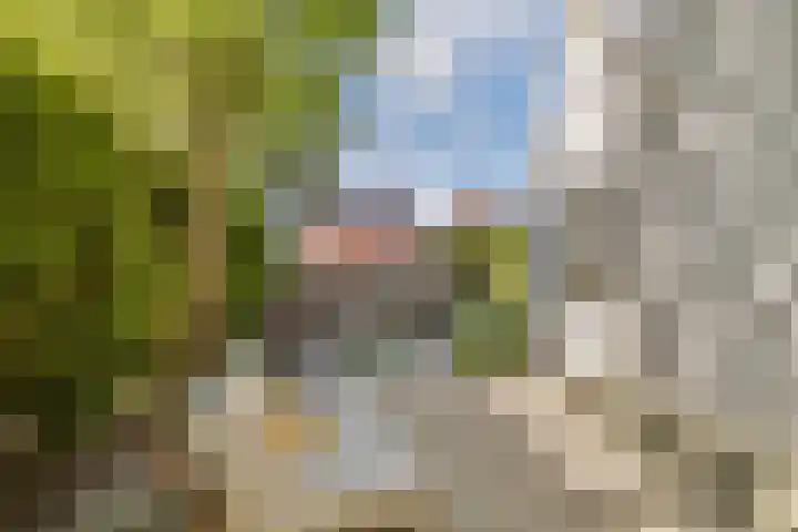 Plantsoen 24 Lage Zwaluwe thumbnail 23
