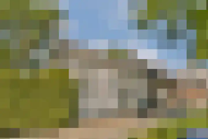 Plantsoen 24 Lage Zwaluwe thumbnail 25