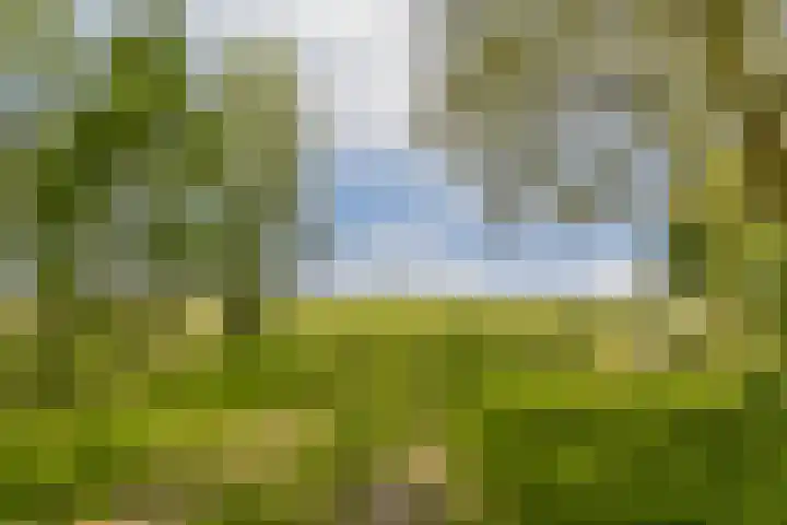 Plantsoen 24 Lage Zwaluwe thumbnail 26