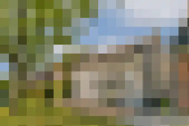 Plantsoen 24 Lage Zwaluwe thumbnail 30