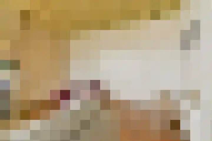 Plantsoen 24 Lage Zwaluwe thumbnail 6