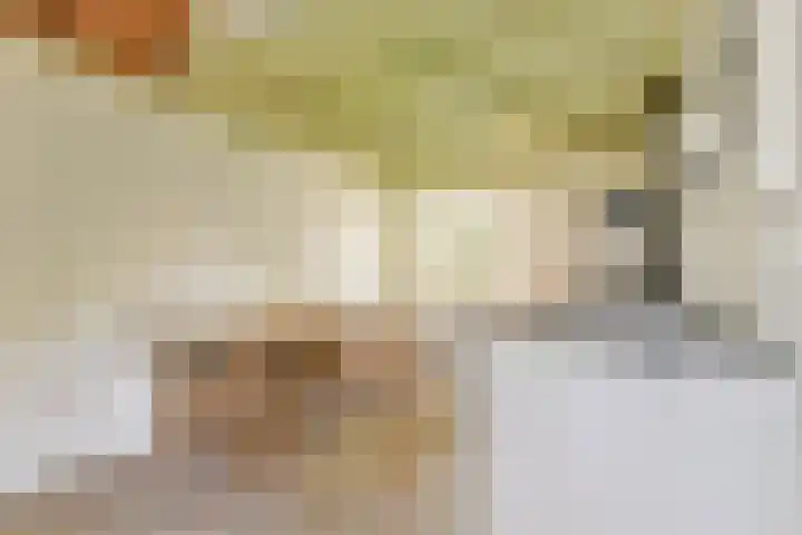 Plantsoen 24 Lage Zwaluwe thumbnail 8