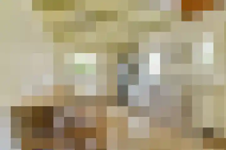 Plantsoen 24 Lage Zwaluwe thumbnail 9