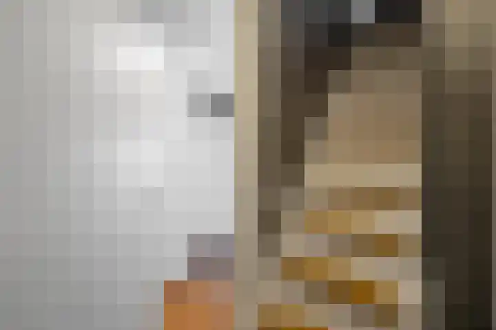Plantsoen 27 Schagen thumbnail 24