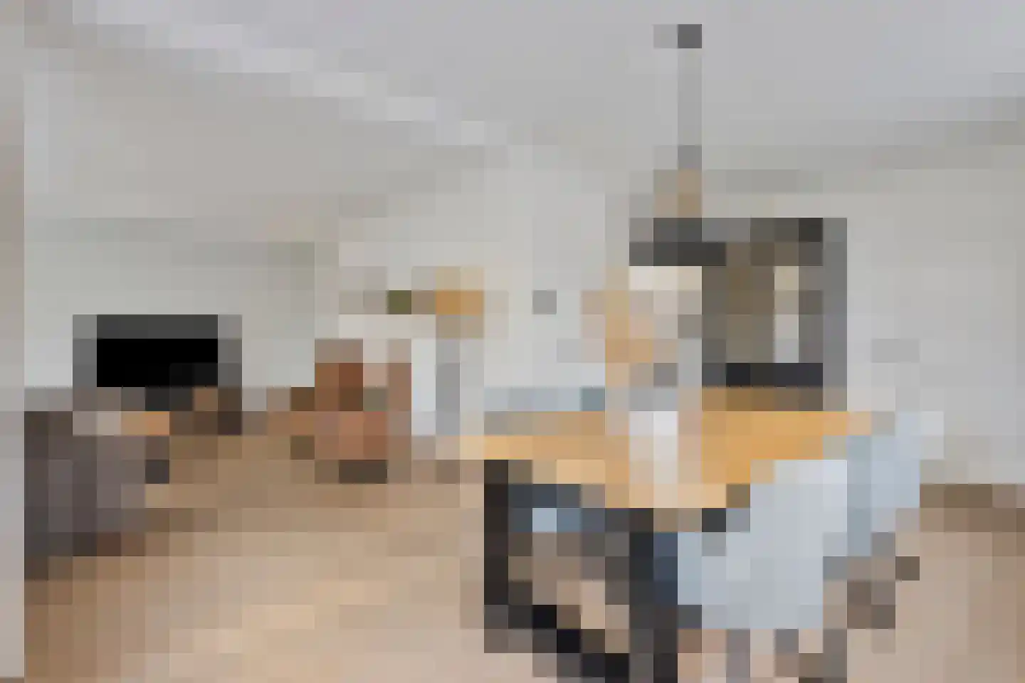 Plantsoen 28 Lage Zwaluwe thumbnail 13