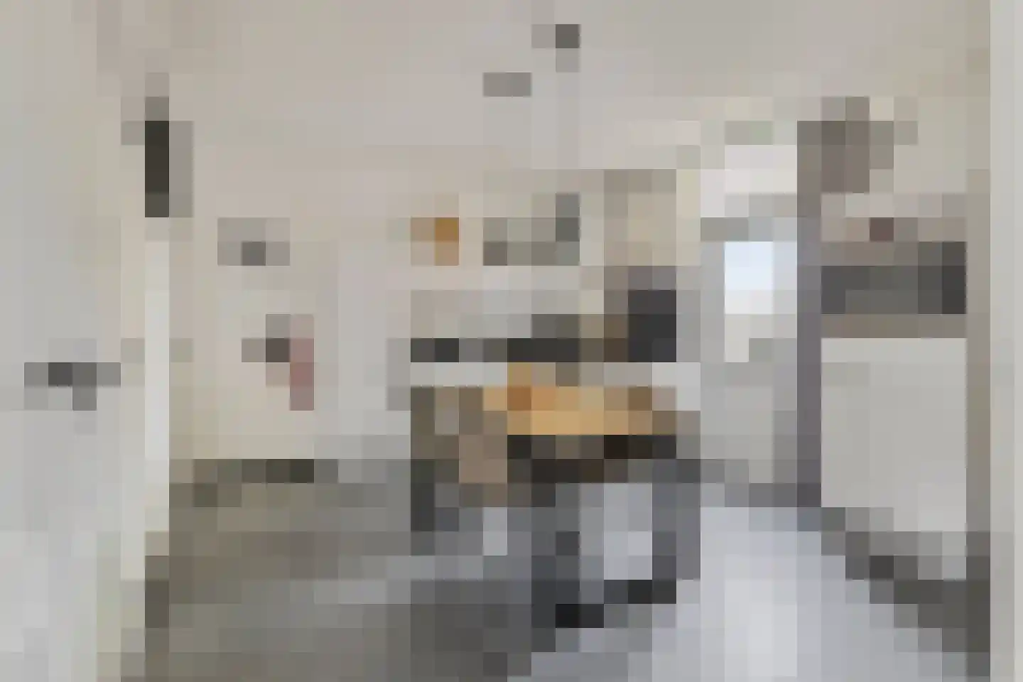 Plantsoen 28 Lage Zwaluwe thumbnail 16