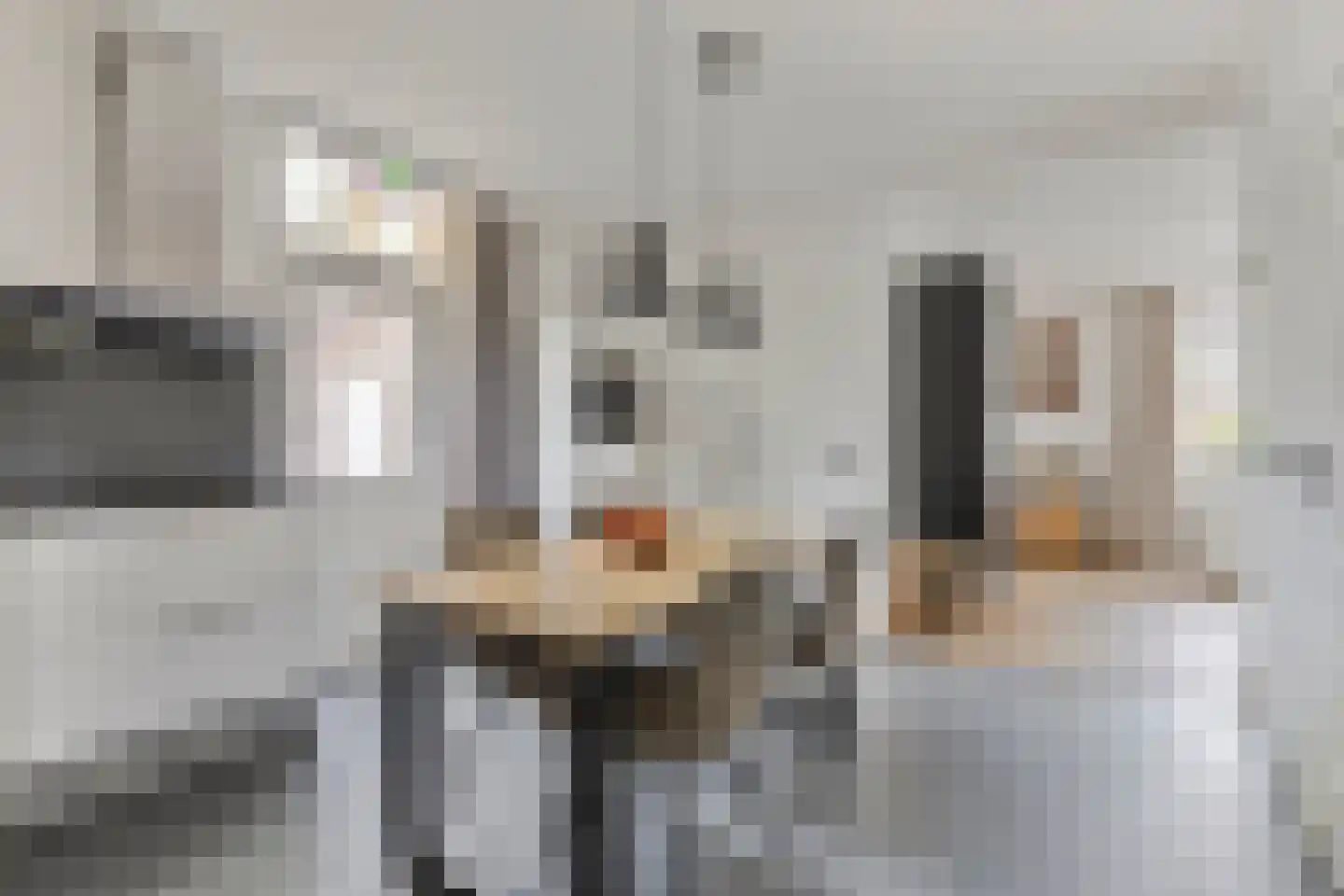 Plantsoen 28 Lage Zwaluwe thumbnail 17