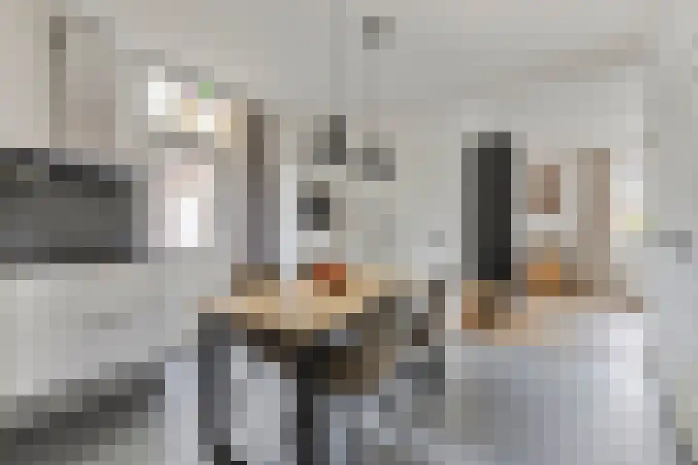 Plantsoen 28 Lage Zwaluwe thumbnail 17