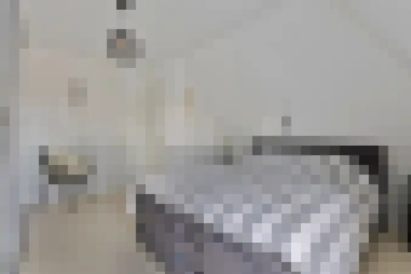 Plantsoen 28 Lage Zwaluwe thumbnail 25
