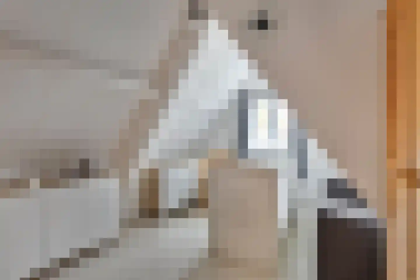 Plantsoen 28 Lage Zwaluwe thumbnail 26