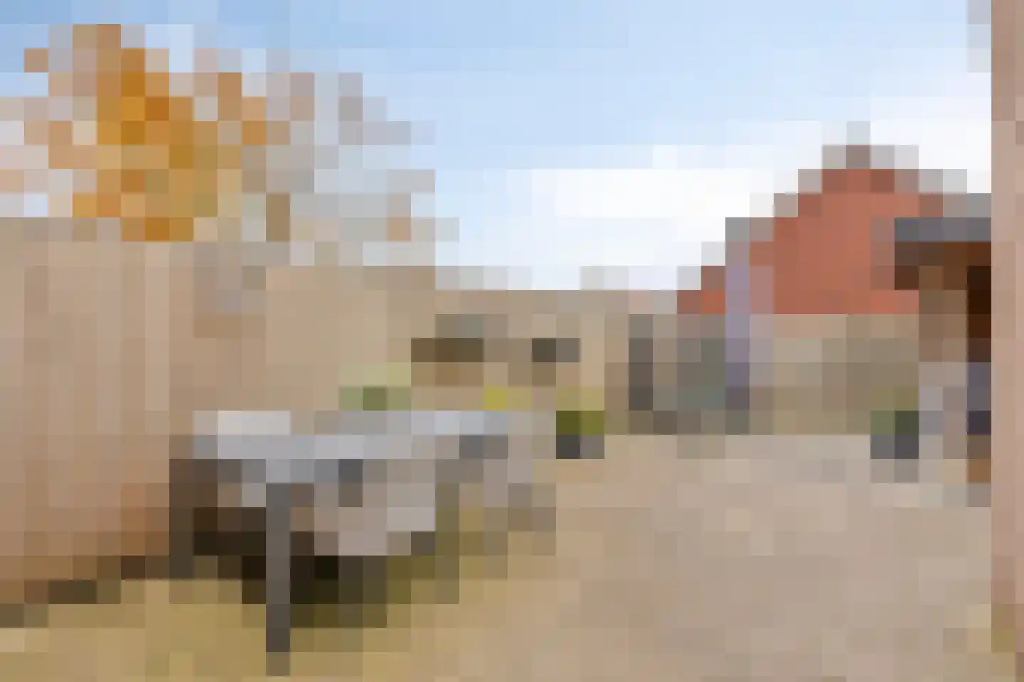 Plantsoen 28 Lage Zwaluwe thumbnail 31