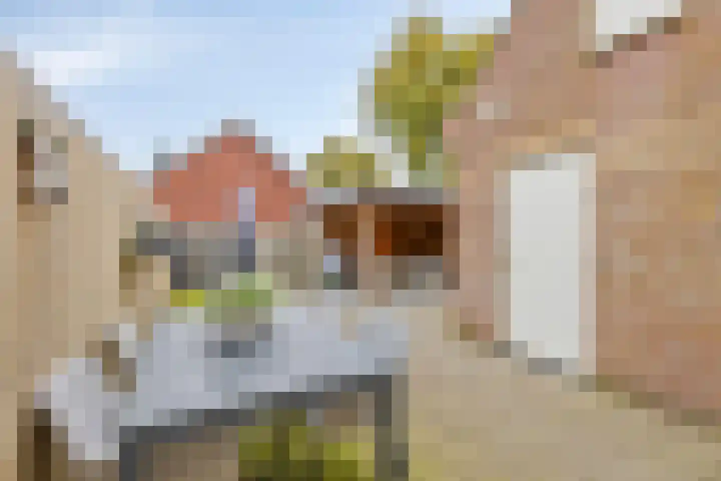 Plantsoen 28 Lage Zwaluwe thumbnail 32