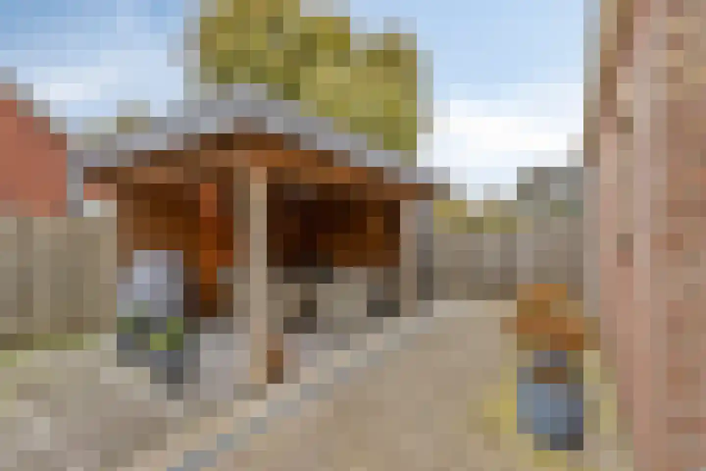 Plantsoen 28 Lage Zwaluwe thumbnail 33