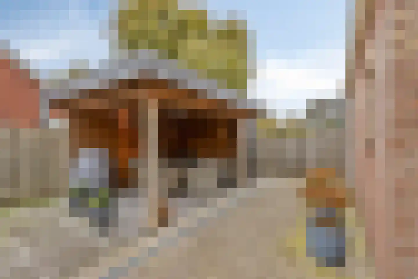 Plantsoen 28 Lage Zwaluwe thumbnail 33