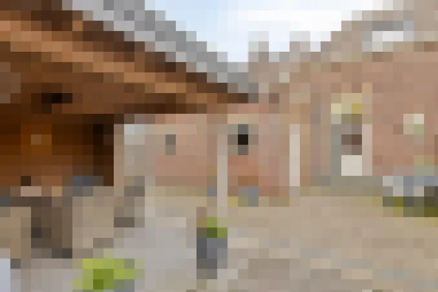 Plantsoen 28 Lage Zwaluwe thumbnail 35