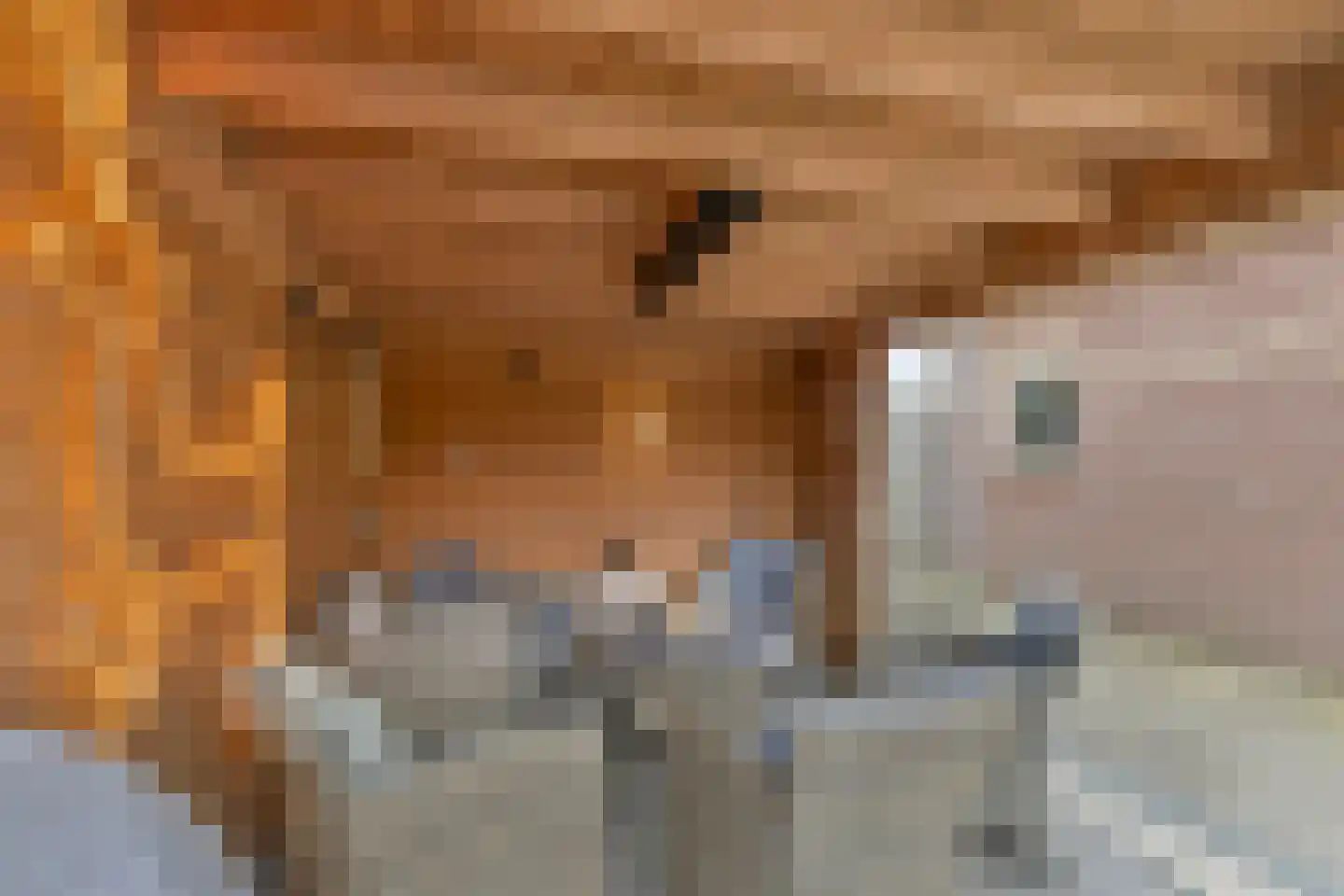 Plantsoen 28 Lage Zwaluwe thumbnail 36