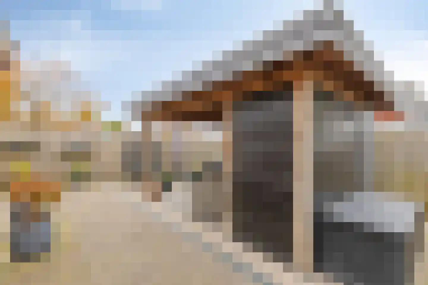 Plantsoen 28 Lage Zwaluwe thumbnail 38