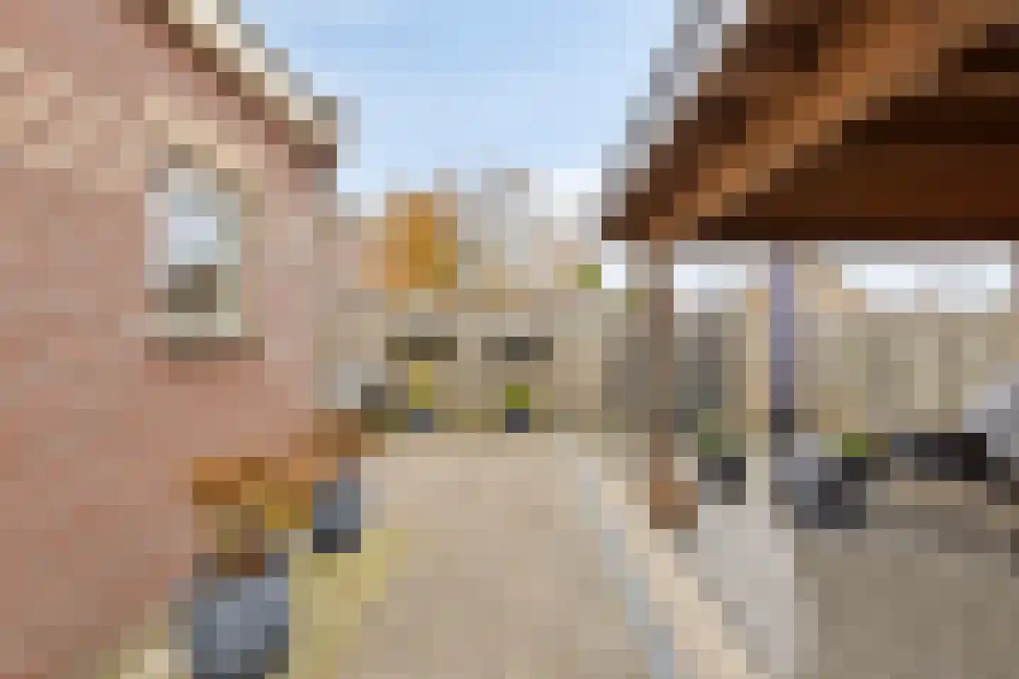 Plantsoen 28 Lage Zwaluwe thumbnail 39