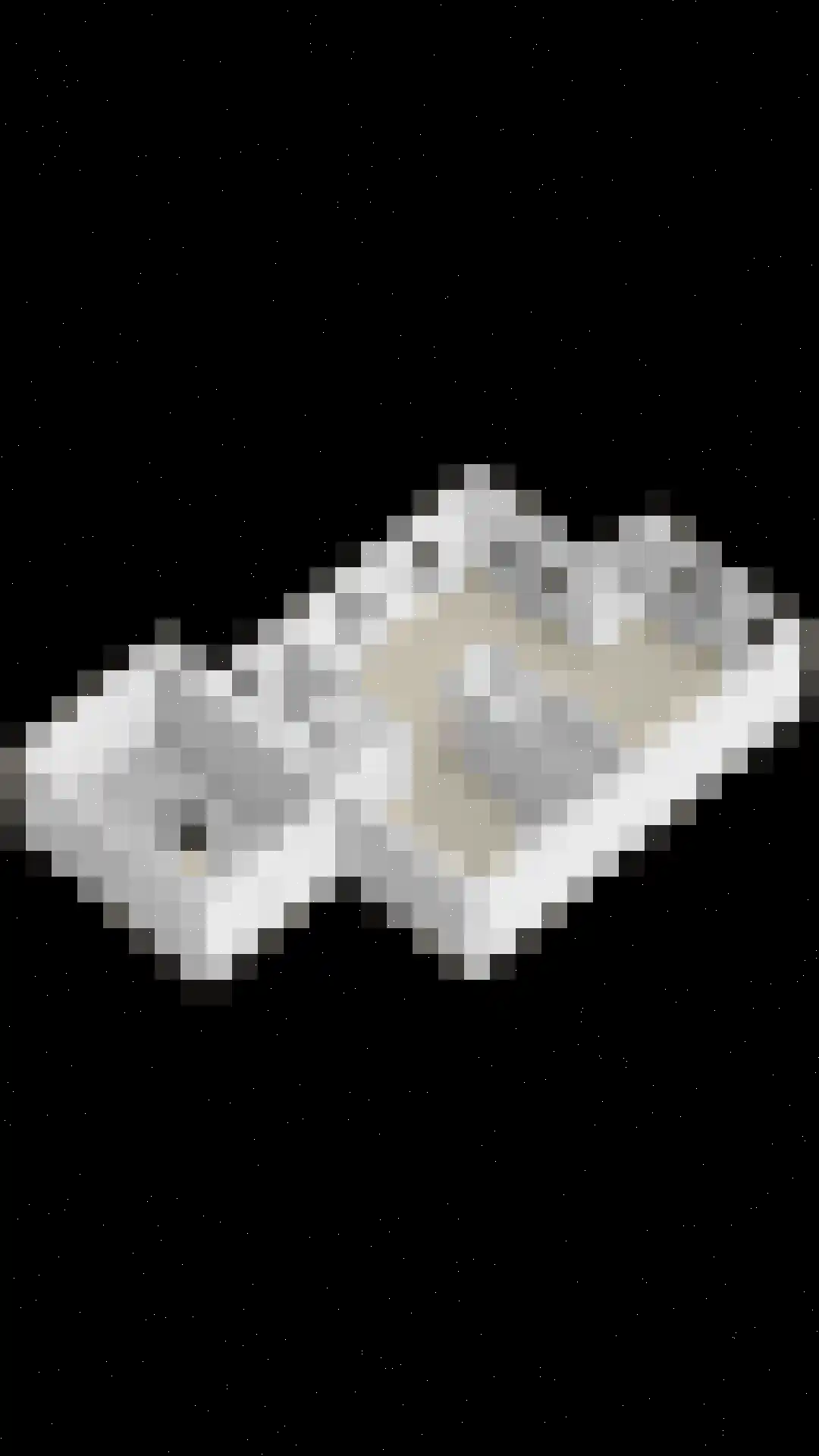 Plantsoen 28 Lage Zwaluwe thumbnail 48
