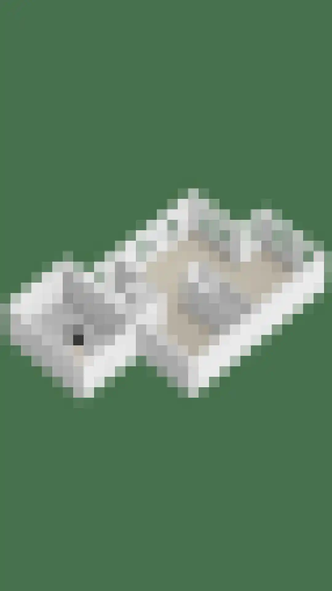 Plantsoen 28 Lage Zwaluwe thumbnail 48
