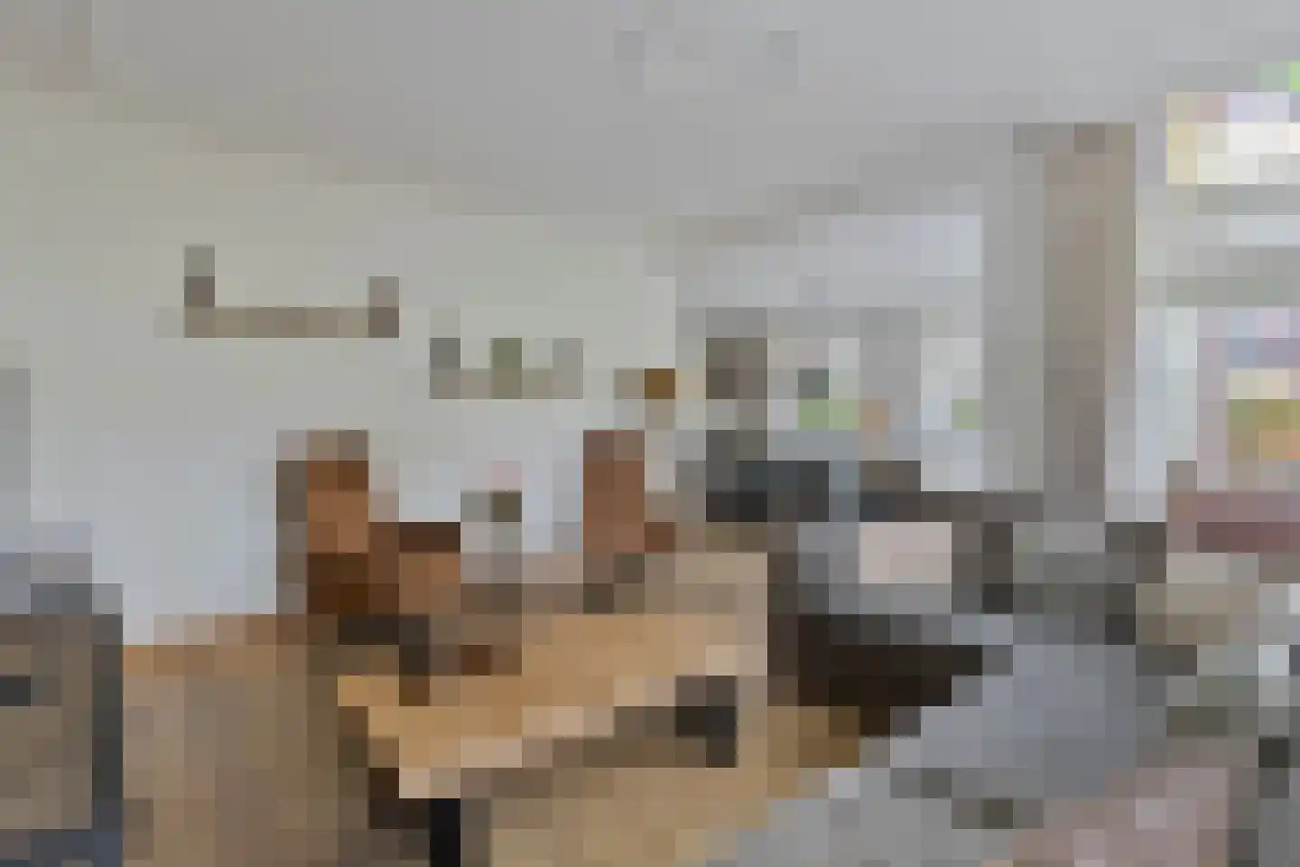 Plantsoen 28 Lage Zwaluwe thumbnail 9