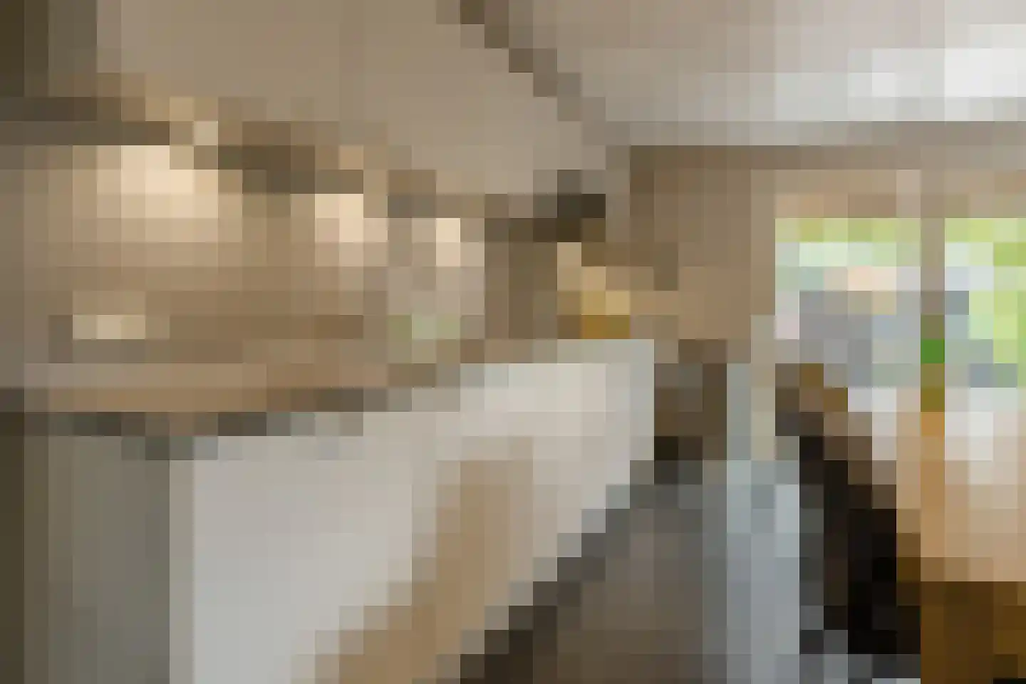 Plantsoen 33 Lage Zwaluwe thumbnail 10