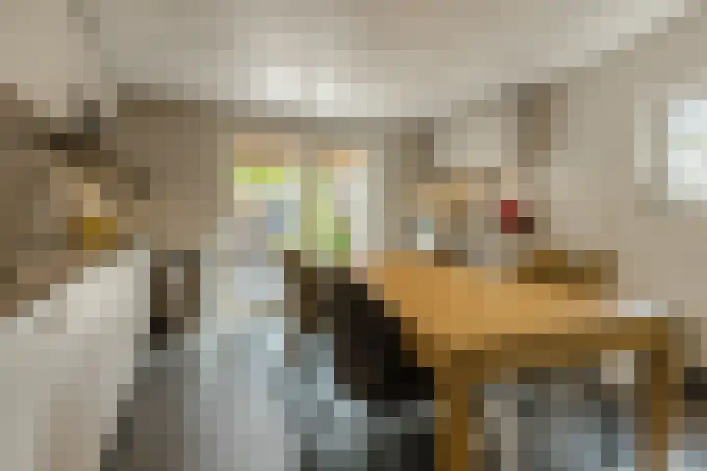 Plantsoen 33 Lage Zwaluwe thumbnail 11