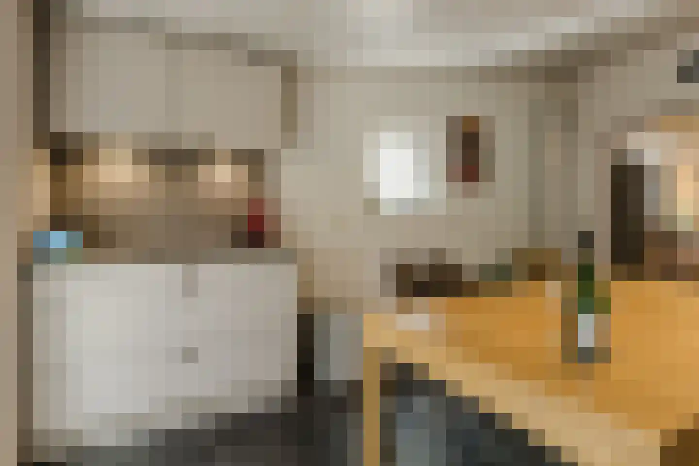 Plantsoen 33 Lage Zwaluwe thumbnail 12