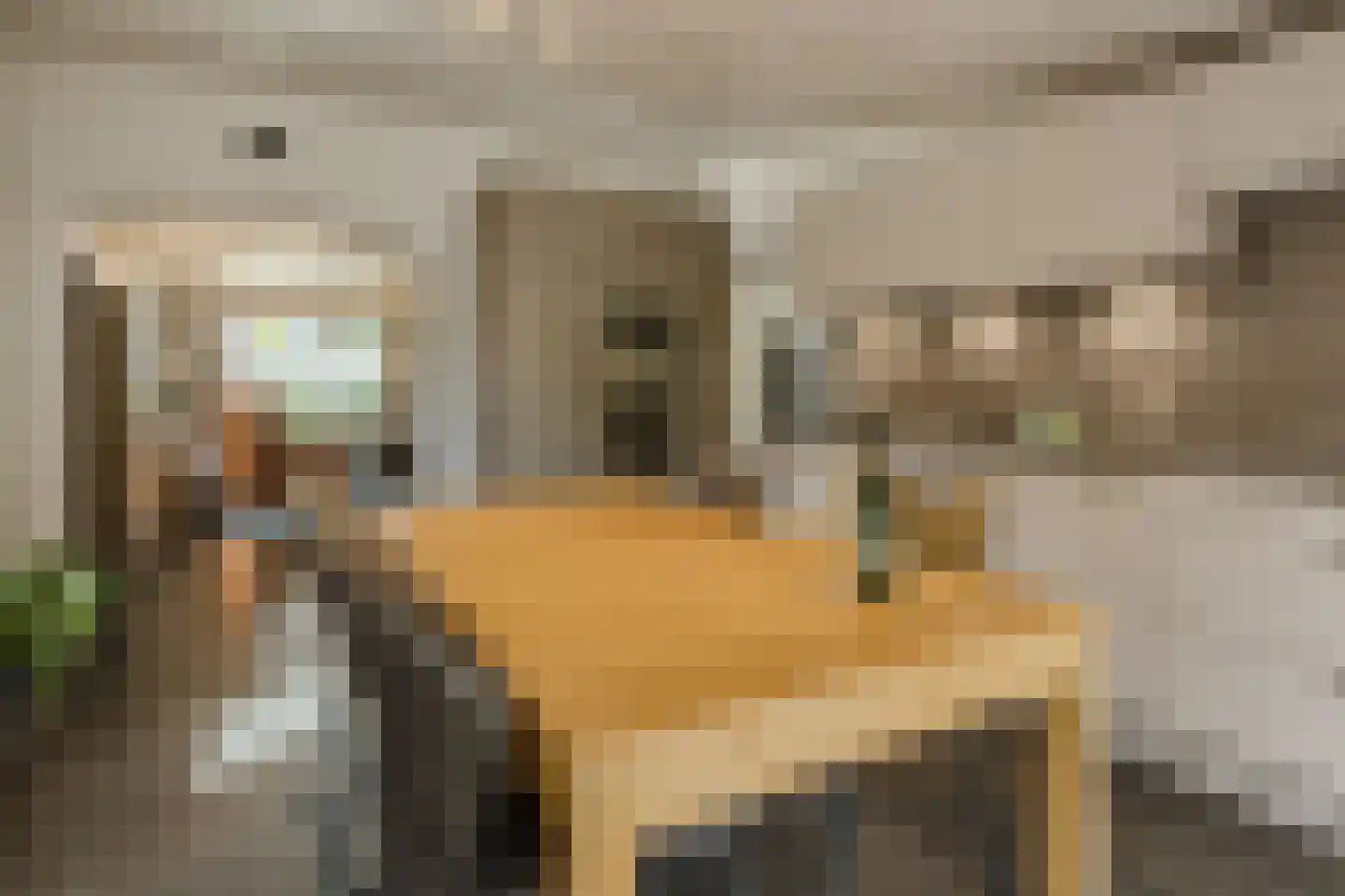Plantsoen 33 Lage Zwaluwe thumbnail 13