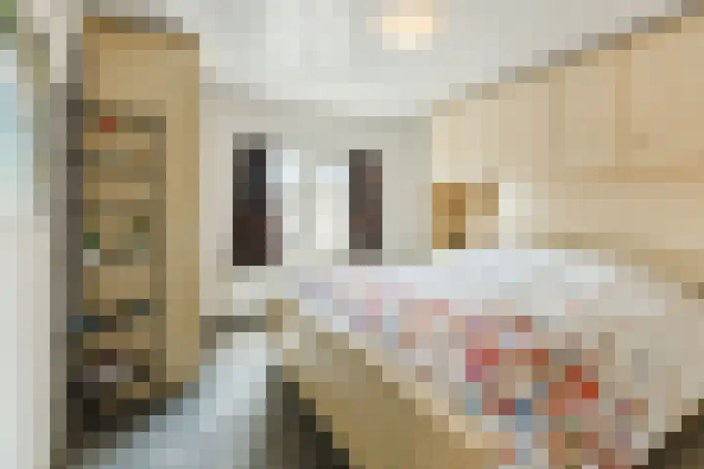 Plantsoen 33 Lage Zwaluwe thumbnail 17
