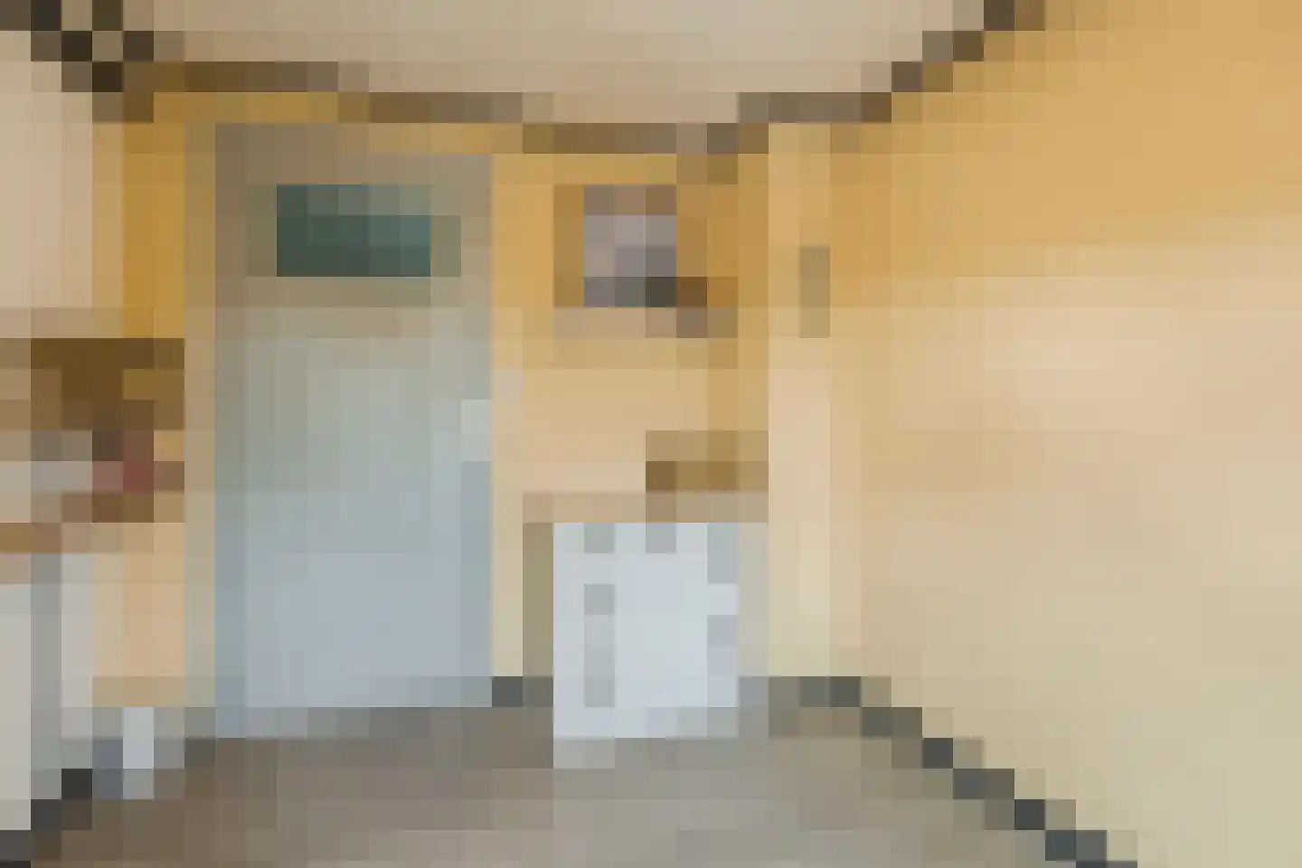 Plantsoen 33 Lage Zwaluwe thumbnail 22