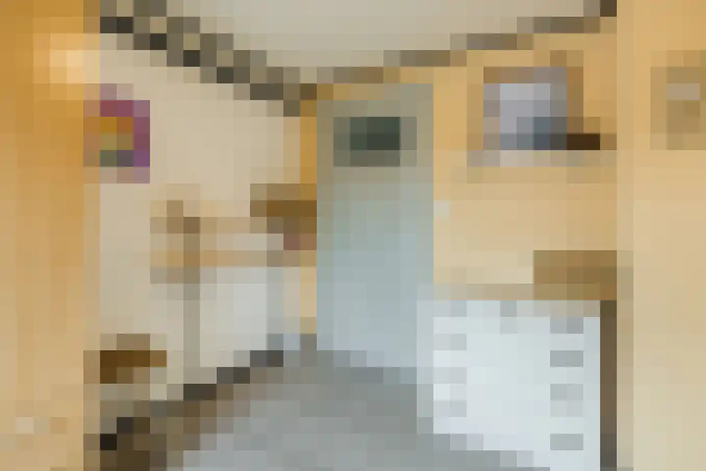 Plantsoen 33 Lage Zwaluwe thumbnail 23