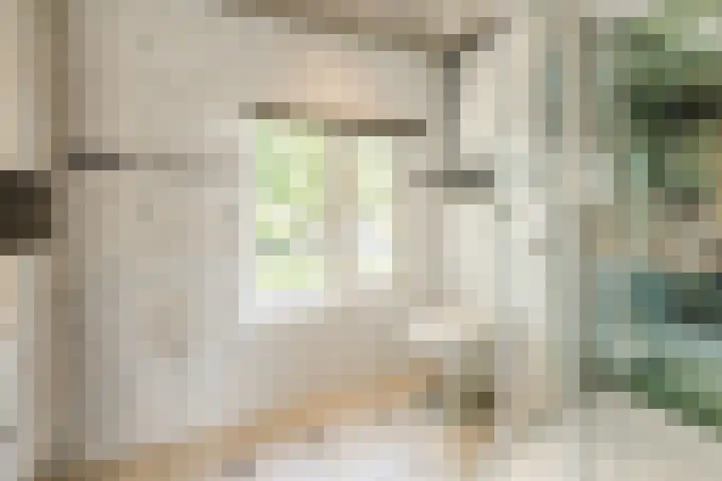 Plantsoen 33 Lage Zwaluwe thumbnail 28