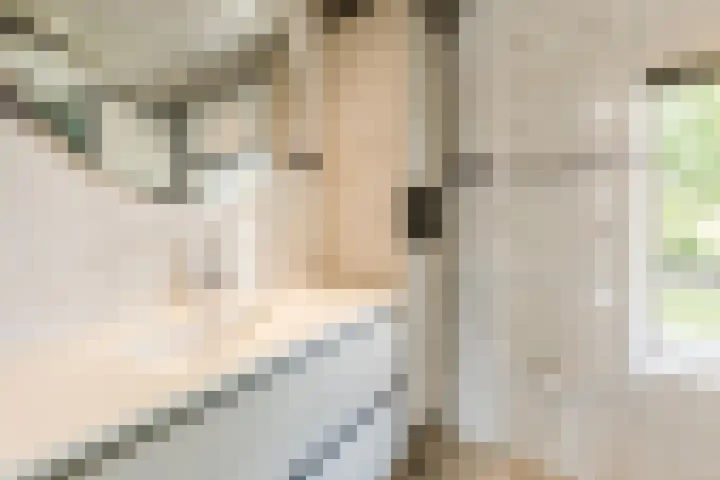 Plantsoen 33 Lage Zwaluwe thumbnail 29