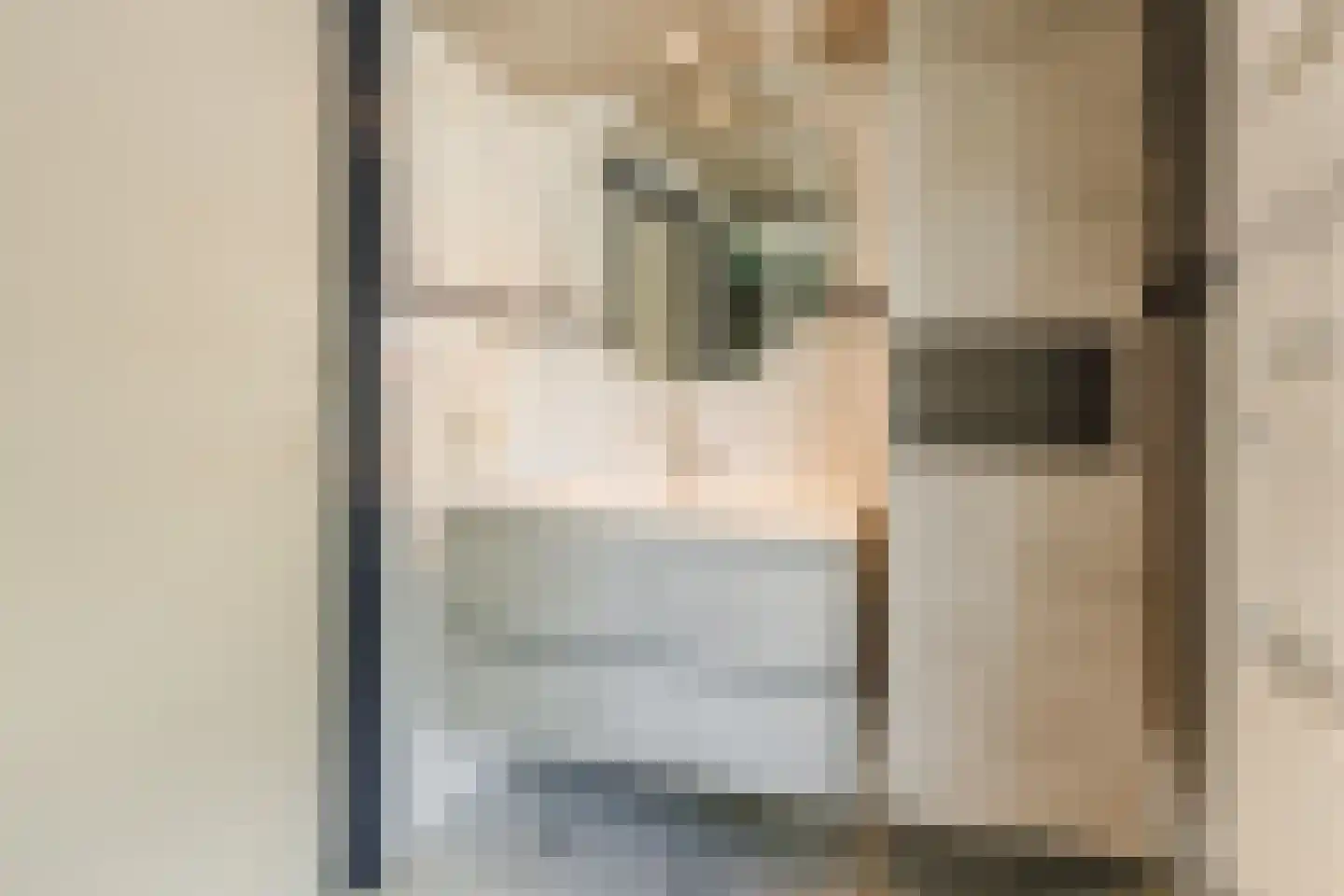 Plantsoen 33 Lage Zwaluwe thumbnail 30