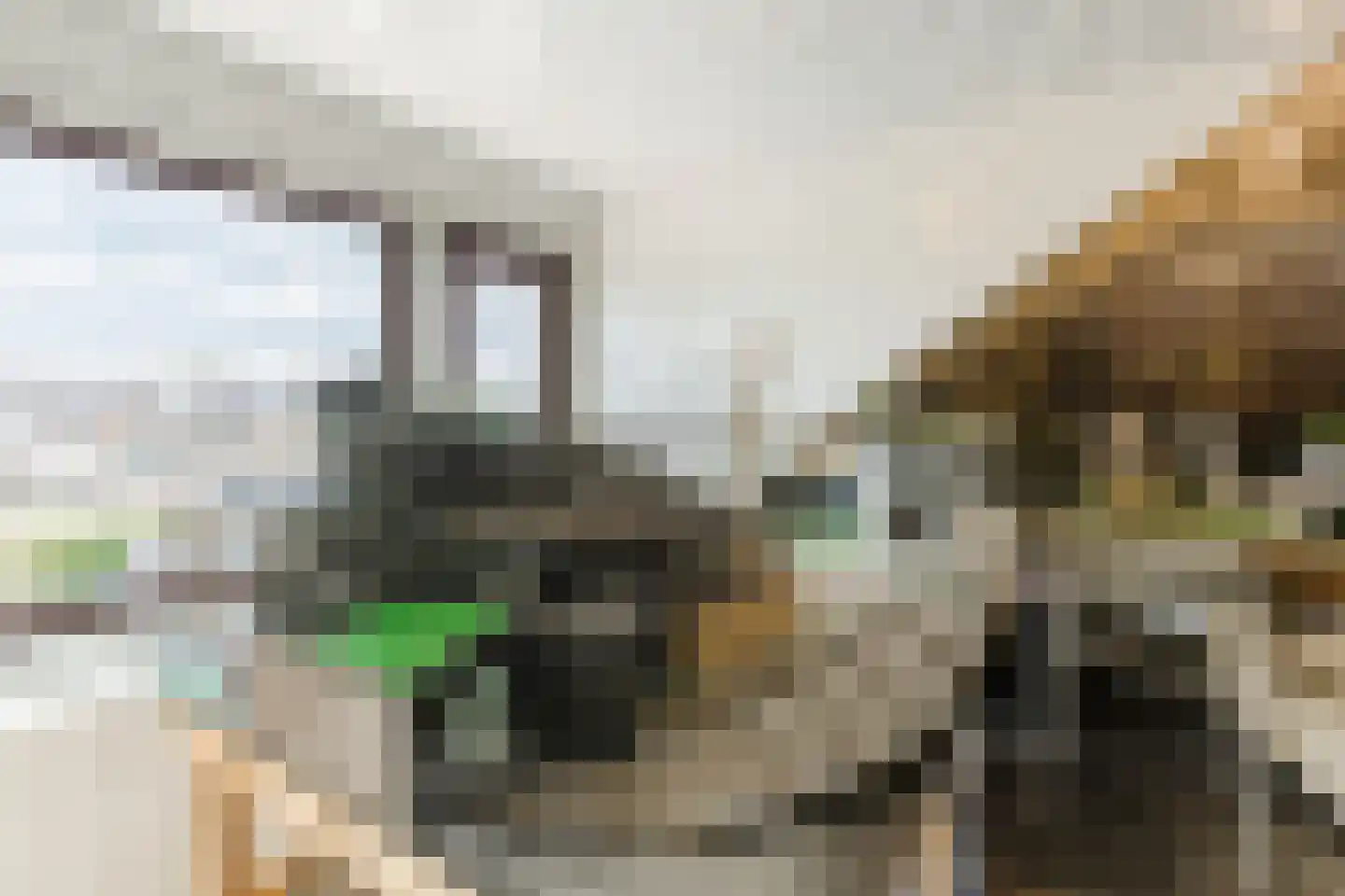 Plantsoen 33 Lage Zwaluwe thumbnail 37
