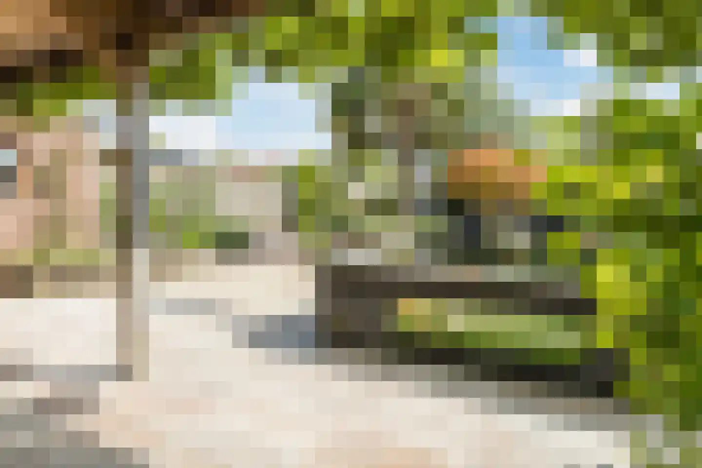 Plantsoen 33 Lage Zwaluwe thumbnail 45