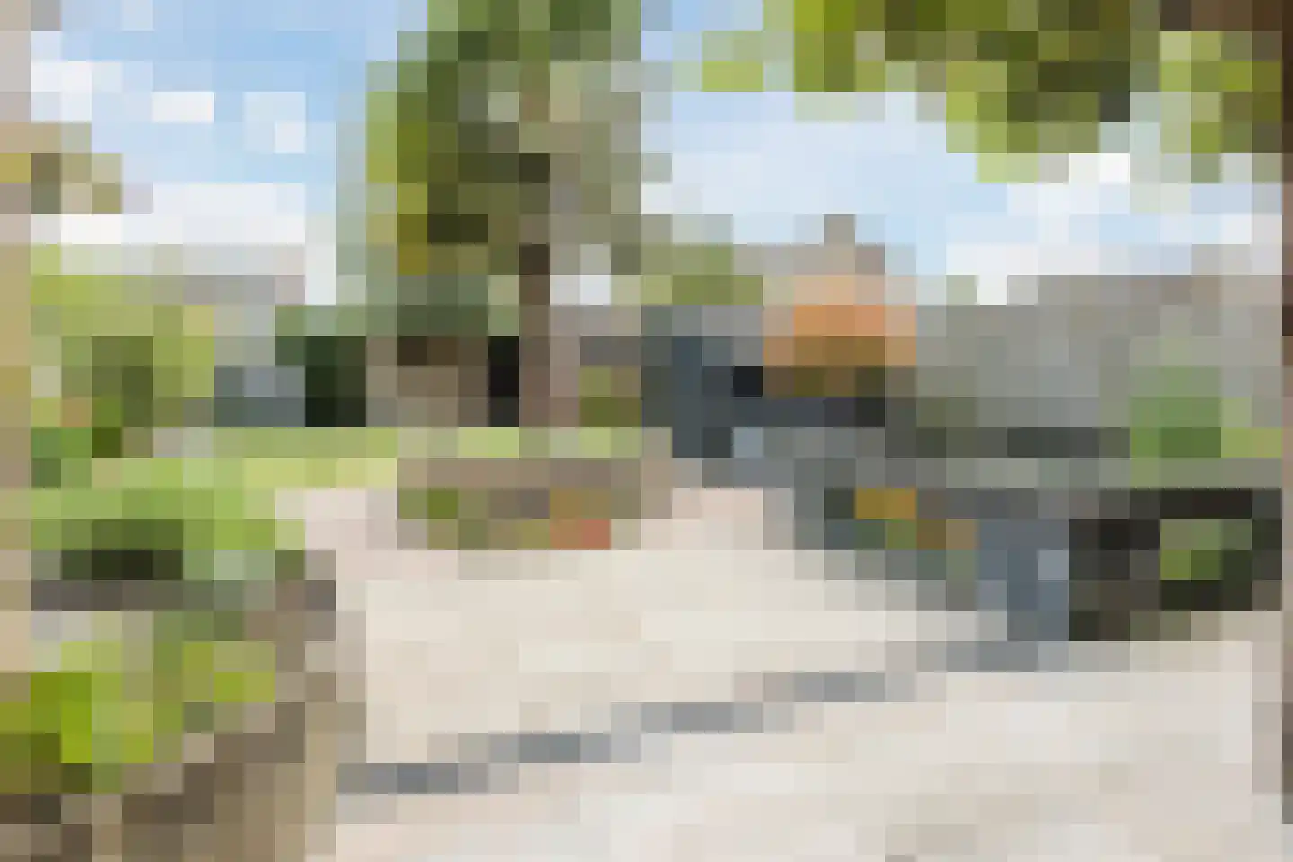 Plantsoen 33 Lage Zwaluwe thumbnail 46