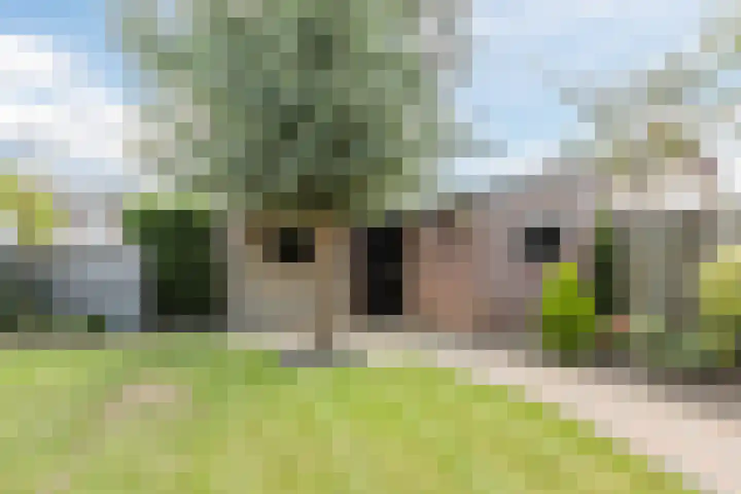 Plantsoen 33 Lage Zwaluwe thumbnail 49