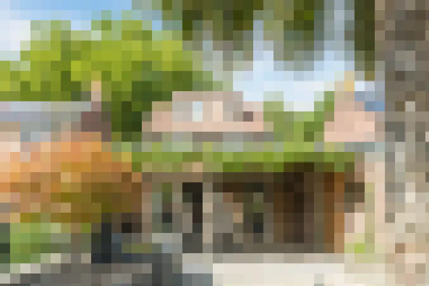Plantsoen 33 Lage Zwaluwe thumbnail 51