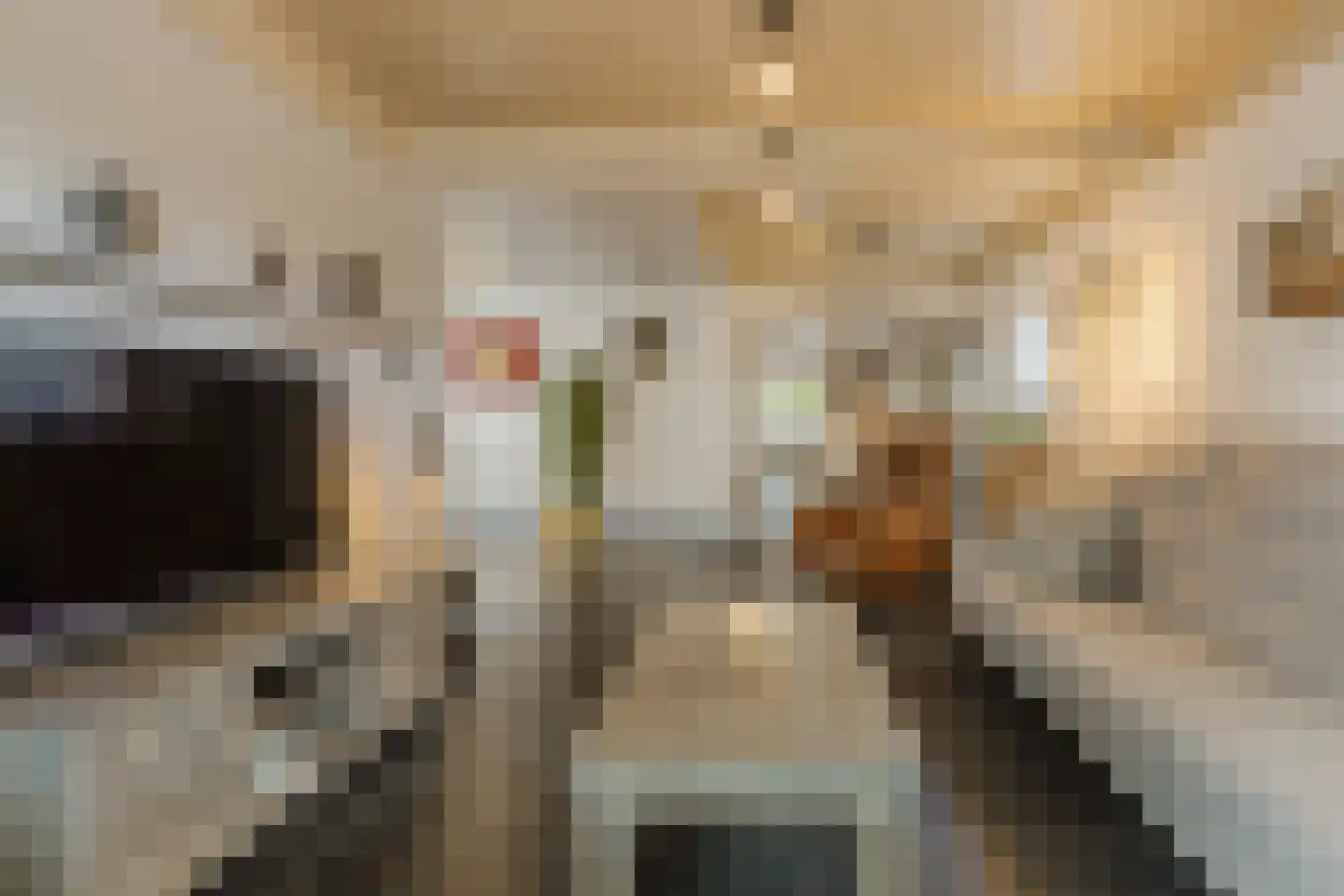 Plantsoen 33 Lage Zwaluwe thumbnail 6