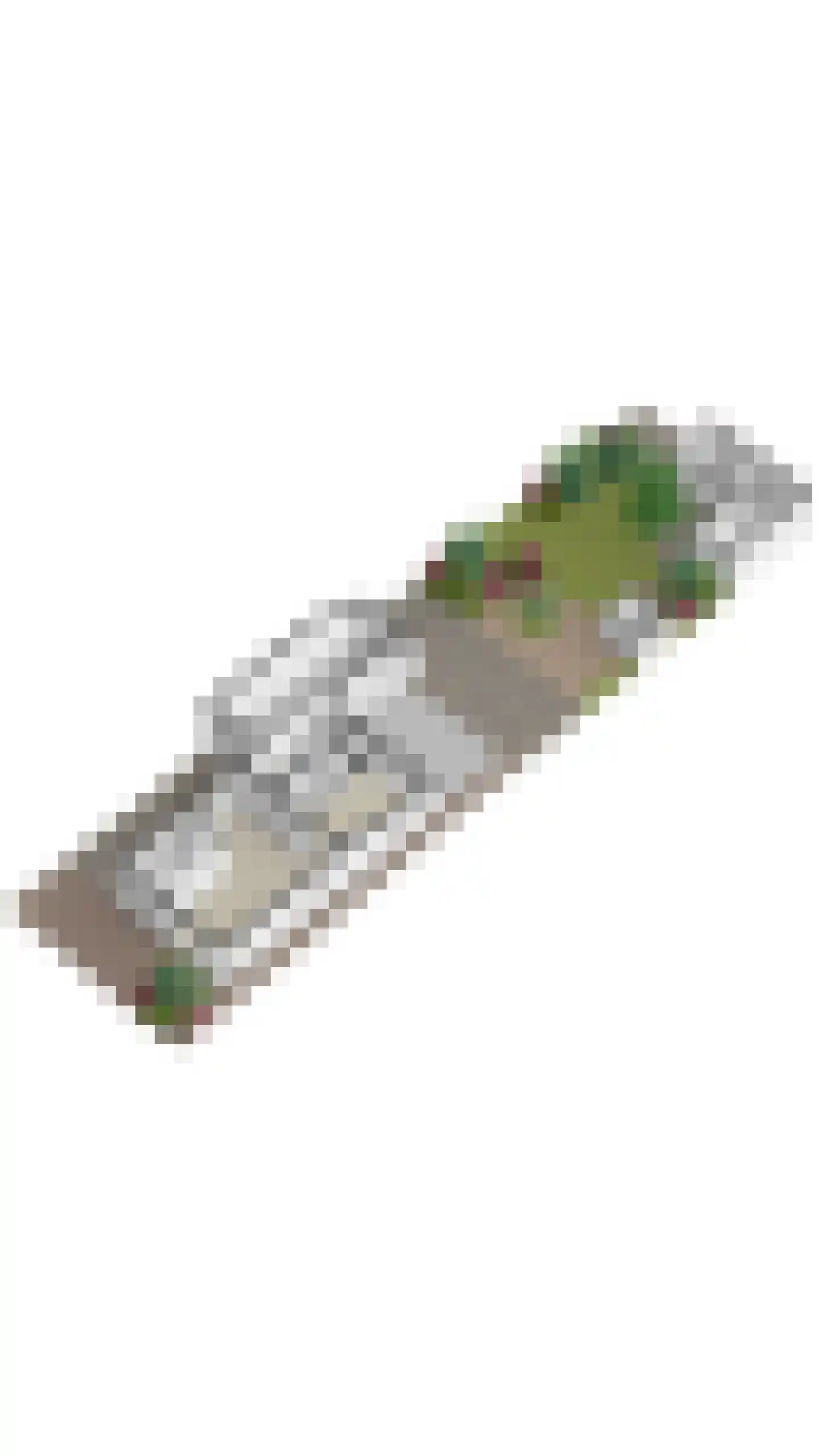 Plantsoen 33 Lage Zwaluwe thumbnail 63