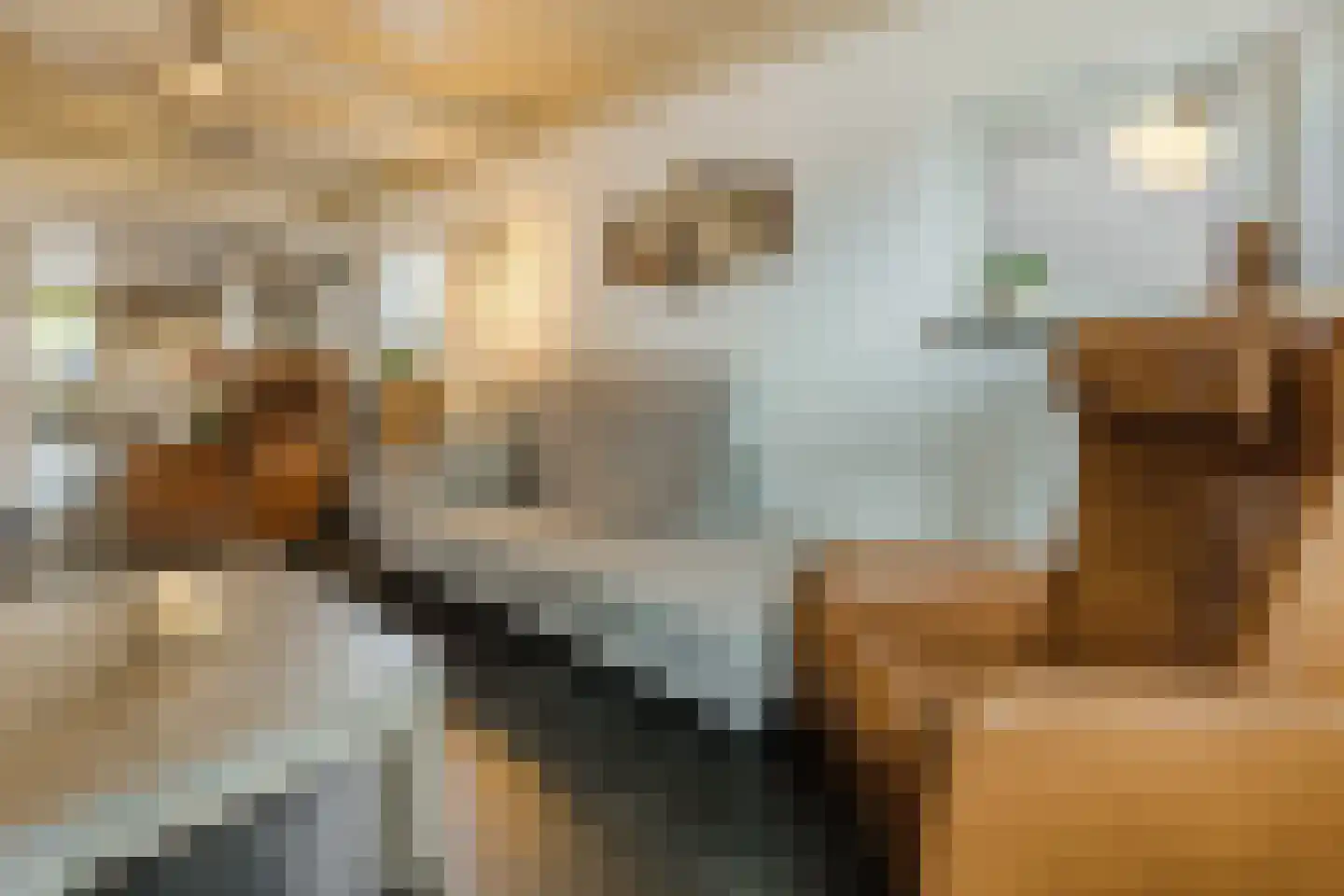 Plantsoen 33 Lage Zwaluwe thumbnail 7